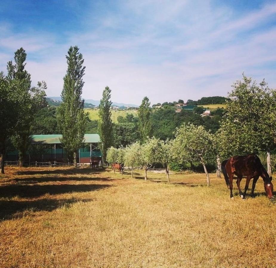 Il Nido Della Colombaia Bed & Breakfast San Nicola Manfredi Eksteriør bilde